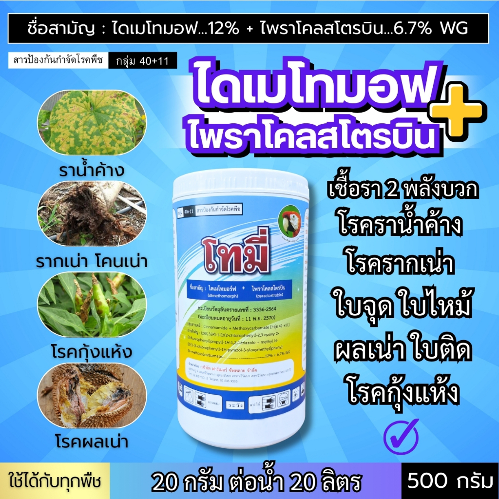 โทมี่ (ไดเมโทมอฟ + ไพราโคลสโตรบิน) ราน้ำค้าง ใบไหม้ ใบจุด ผลเน่า รากเน่า โรคกุ้งแห้ง ใบติด 500 กรัม