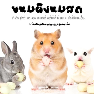 อาหารแฮมเตอร์ ขนมแฮมเตอร์ อาหารชูการ์ กะรอก ดอร์เม้าท์ ใจเเอ้นท์ โรโบ เม่นแคระ สัตว์ฟันเเทะอื่นๆๆ ( เเบ่งขายขนาดทดลอง )