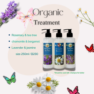 ทรีทเม้นท์โอลีฟออยล์ผสมสมุนไพรอโรม่า 250มล. (Herbal Aroma pH…