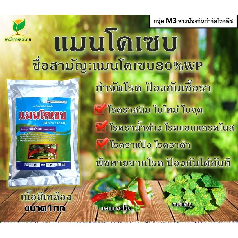 แมนโคเซบ 80%1 กิโลกรัม(mancozeb 80%WP)เนื้อสีเหลืองป้องกันกำจัดราแป้ง ราดำโรคกาบใบแห้งโรคใบไหม้แอนแรคโนส#วินสัน