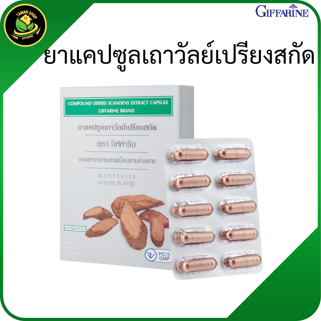 กิฟฟารีน เถาวัลย์เปรียง เถาวัลย์เปรียงสกัด อาหารเสริมสมุนไพร สมุนไพรไทย อาหารเสริมเถาวัลย์เปรียง