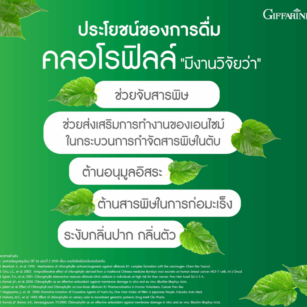 คลอโรฟิลล์ขับล้างสารพิษ ลดกลิ่นกาย ขับถ่ายคล่อง กิฟฟารีนคลอโรฟิลล์ซี-โอ ผสมวิตามินซี โอลิโกฟรุคโตสจะ ราคา ถูกที่สุด ดีลบีเคเค แกลเลอรีภาพที่ 3