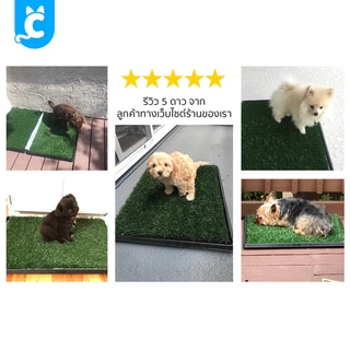 [ส่งฟรี🇹🇭] CleverPet ห้องน้ำสุนัข Pet Potty แผ่นซับฉี่สุนัข ถาดฉี่ แผ่นฉี่สุนัข Dog Pee Pad