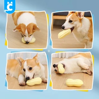 [ส่งฟรี🇹🇭] CleverPet ของเล่นสุนัข ถั่วลิสง บีบมีเสียง หอมกลิ่นนม ลูกบอลหมา Milky Peanut Dog Toy