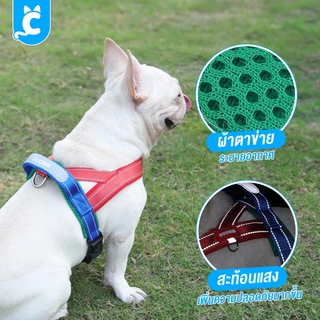 [ส่งฟรี🇹🇭] DUOMM สายรัดอกสุนัข เสื้อรัดอกหมา ระบายความร้อน สะท้อนแสง Dog Harness Cleverpet