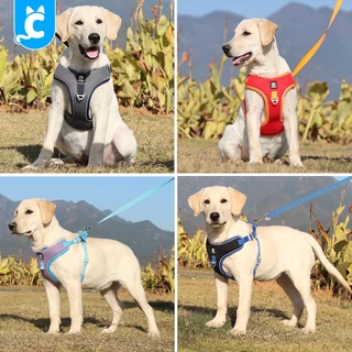 [ส่งฟรี🇹🇭] Duomm สายรัดสุนัข ระบายความร้อน สำหรับหมาและแมว Dog Harness CleverPet