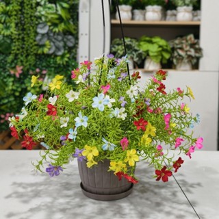 กระถางแขวนพร้อมดอกโลบีเลีย ดอกคุณนายตื่นสาย ดอกไม้ปลอม