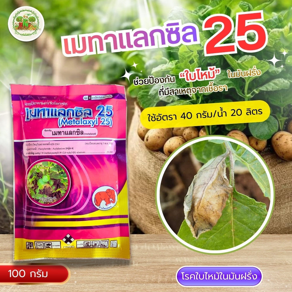 เมทาแลกซิล (metalaxyl) 25% WP ( ขนาด 100 กรัม) กำจัดเชื้อรา รากเน่า โคนเน่า โรคไฟท๊อปเทอร่า โรคเนาคอดิน