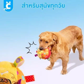 [ส่งฟรี🇹🇭] CleverPet ของเล่นสุนัข ลูกบอลกระดิ่ง ของเล่นหมา ลูกบอลหมา Bell Ball Dog Toy