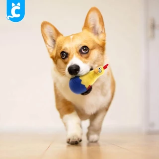 [ส่งฟรี🇹🇭] GiGwi Egg ของเล่นสุนัข ตุ๊กตาล้มลุก บีบมีเสียง หมา แข็งแรงทนทาน Dog Toy Cleverpet