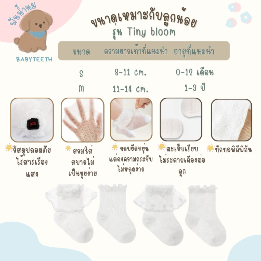 รูปภาพ 9