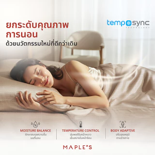 MAPLE'S ผ้าปูที่นอนรัดมุม รุ่นJacquard 770เส้น 6-10นิ้ว กันขนติด หนาแน่นกว่าผ้าเรียบ40% แจ็คการ์ด