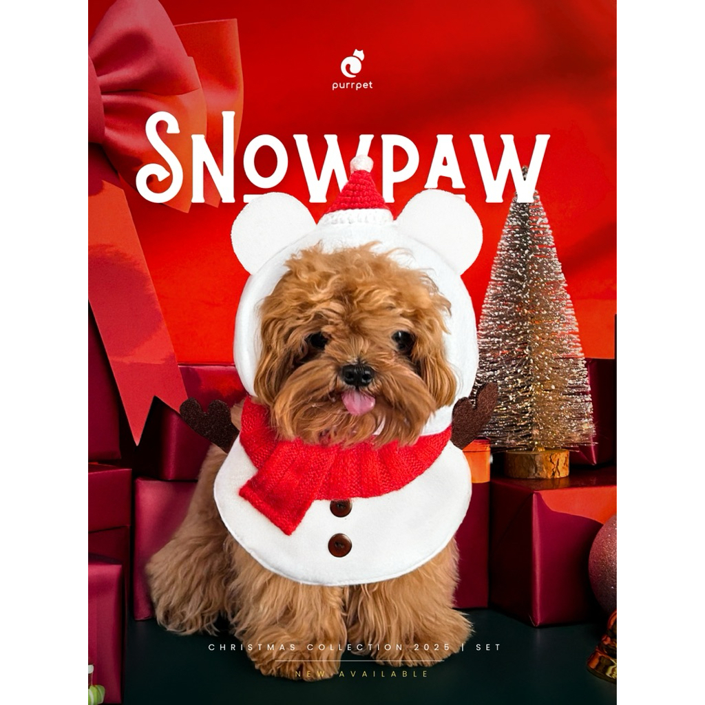Snow Bear - Christmas Collection Purrpet