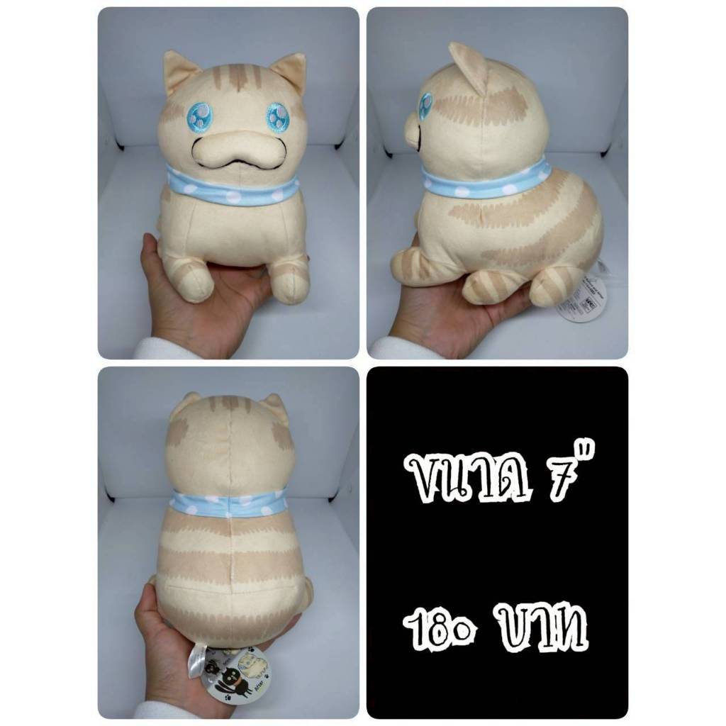 Tora (After)#Stray Cat Before and After#แมว#ป้ายห้อย#ตุ๊กตาญี่ปุ่นมือสอง