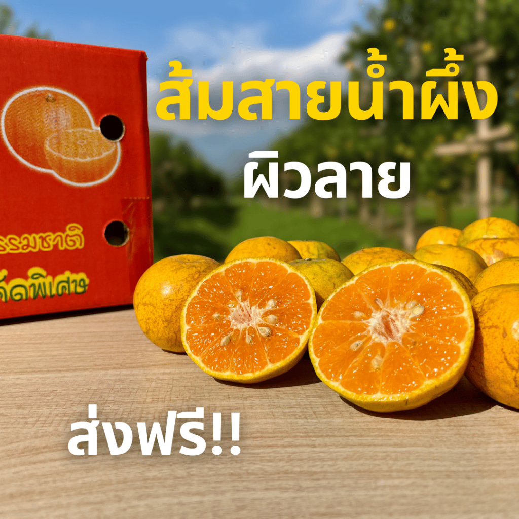 [ส่งฟรี!] ส้มสายน้ำผึ้ง ผิวลาย คละไซซ์ อ.ฝาง กล่องรวมไม่มีที่คั่น ส่งตรงจากสวน