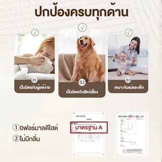 BONAS พรม 200cm*300cm พรมห้องนั่งเล่น พรมห้องนอน พรมห้อง พรมสไตล์เรียบง่าย มีเม็ดกันลื่นด้านล่าง มีหลายขนาดให้เลือก COD