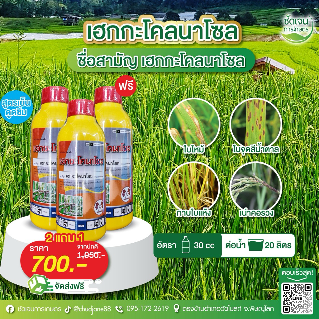 2แถม1 เฮกซะโคลมาโซนพรีเมียม ขนาด1 ลิตร เชื้อราใบไหม้ ใบจุดเมล็ดด่าง
