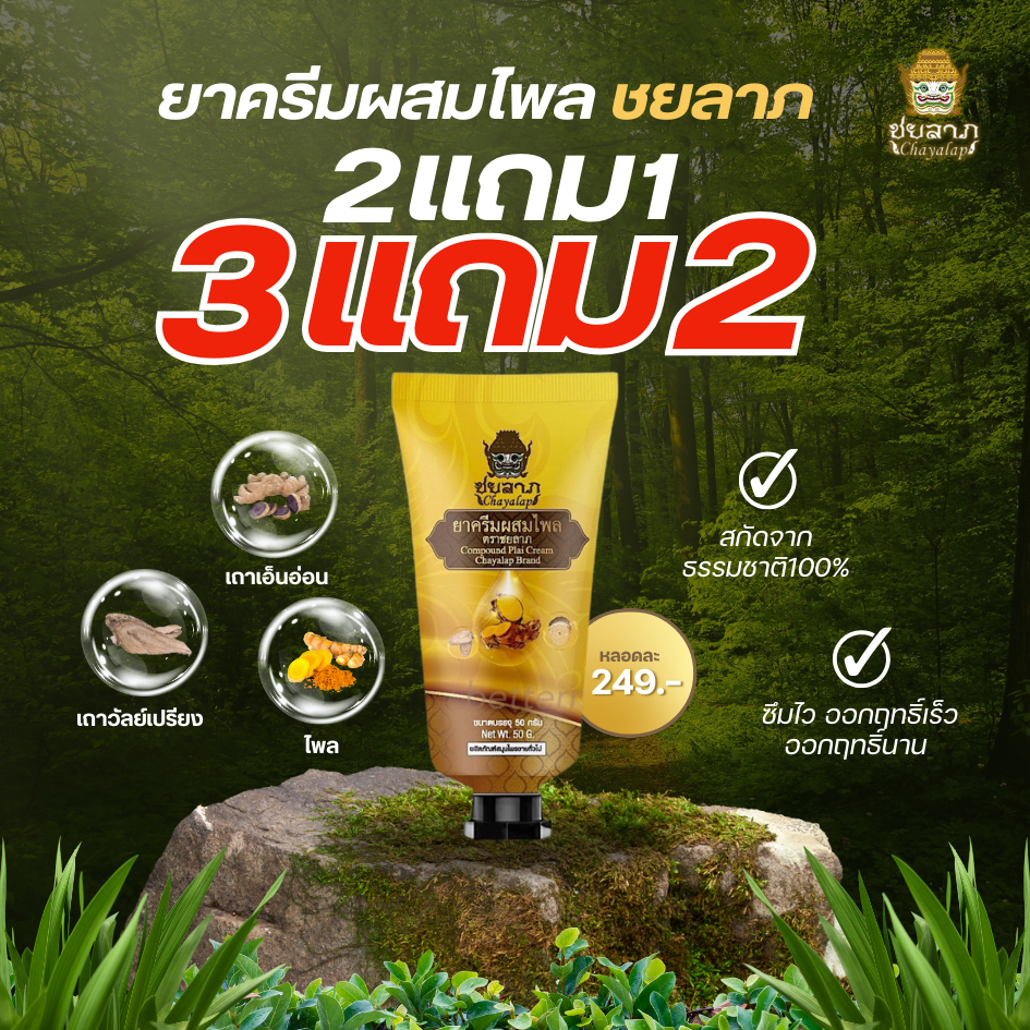 ยาครีมสมุนไพร ชยลาภ (50 กรัม) | ครีมไพลลดปวด บวม อักเสบ คลายกล้ามเนื้อ แมลงกัดต่อย
