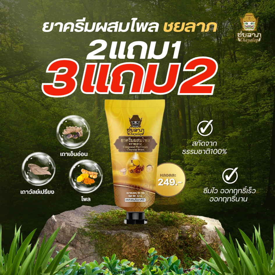 ยาครีมสมุนไพร ชยลาภ (50 กรัม) | ครีมไพลลดปวด บวม อักเสบ คลายกล้ามเนื้อ แมลงกัดต่อย