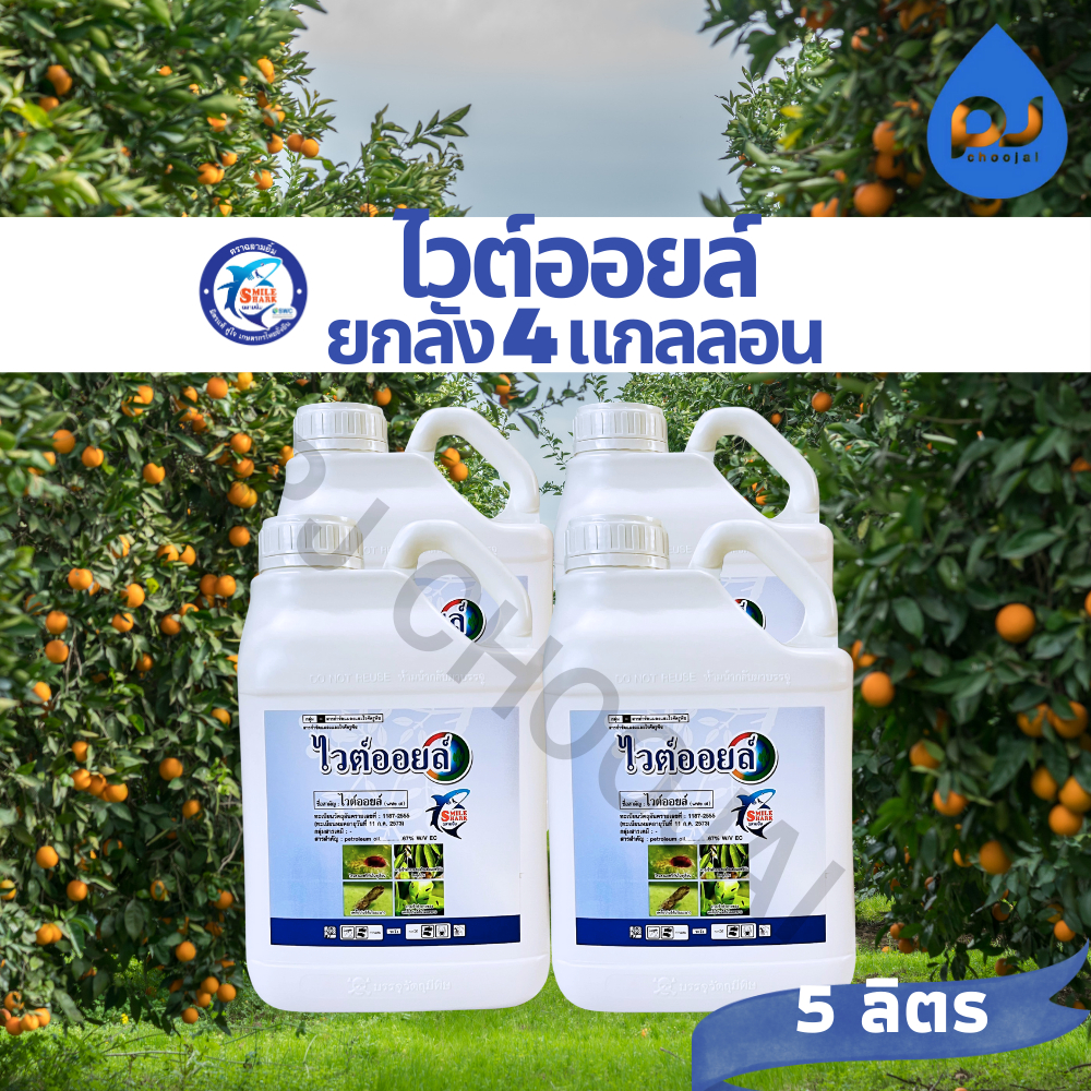 ยกลังไวต์ออยล์ ขนาด1ลิตร-5ลิตร