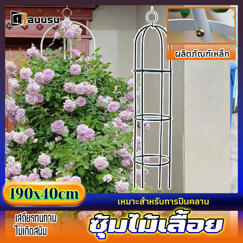 auusu ซุ้มไม้เลื้อย ซุ้มกุหลาบ ไม้เลื้อย อุปกรณ์ตกแต่งสวน พืชโครงไม้เลื้อย เหมาะสำหรับเถาวัลย์และพืชคืบคลาน