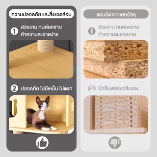 คอนโดแมว คอนโดแมวไม้ บ้านแมว 200CM เหมาะสำหรับเลี้ยงน้องแมว 4-6ตัว เสาลับเล็บ ขนาดใหญ่ สูง170CM