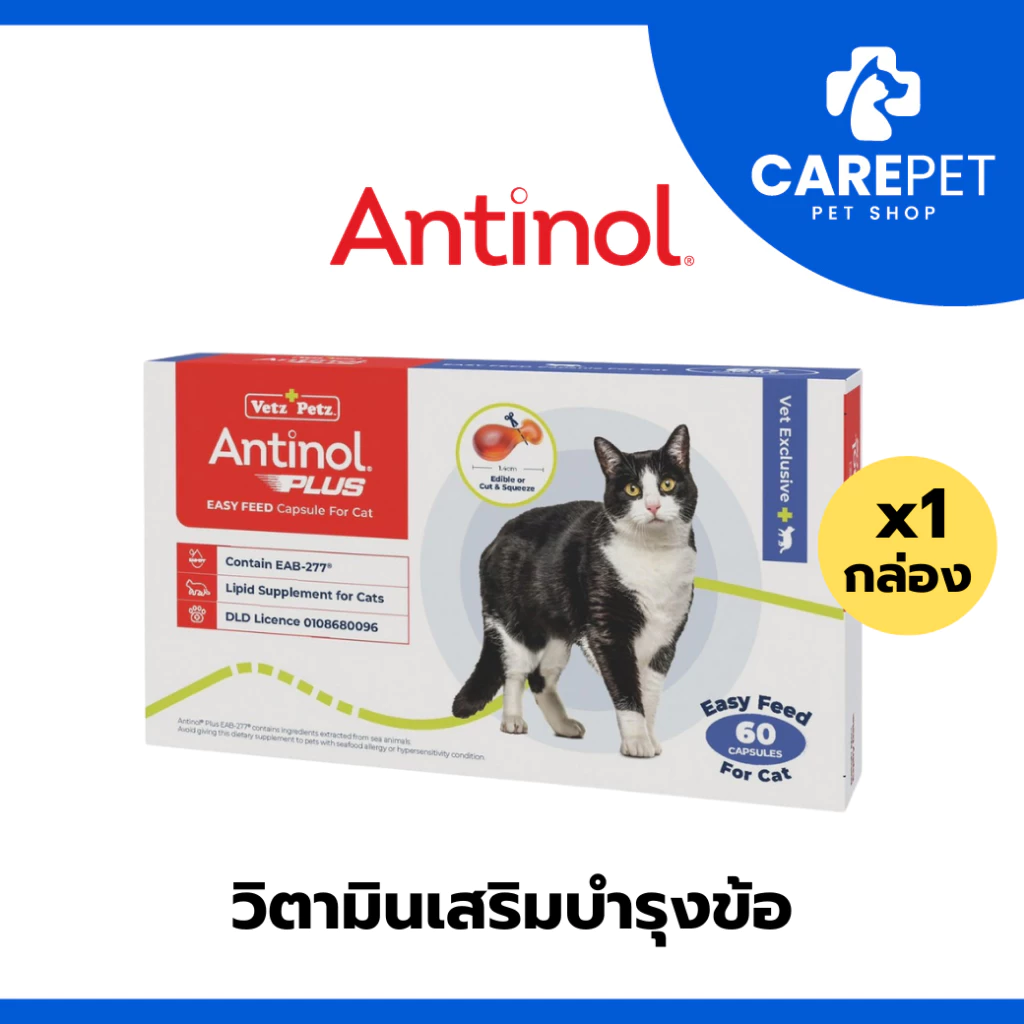 (1 กล่อง) Antinol Cat แอนทินอล อาหารเสริมไขมัน บำรุงข้อ สำหรับแมว