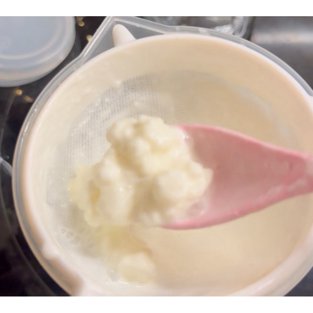 Grains Kefir Milk  4 สายพันธ์ุ ทิเบต ตุรกี อเมริกา อังกฤษ ปริมาณ 1 ช้อนชา