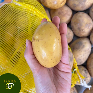มันฝรั่งสด มันฝรั่งนอก ไซส์B ขนาดกำลังพอดี กระสอบ9-10KG