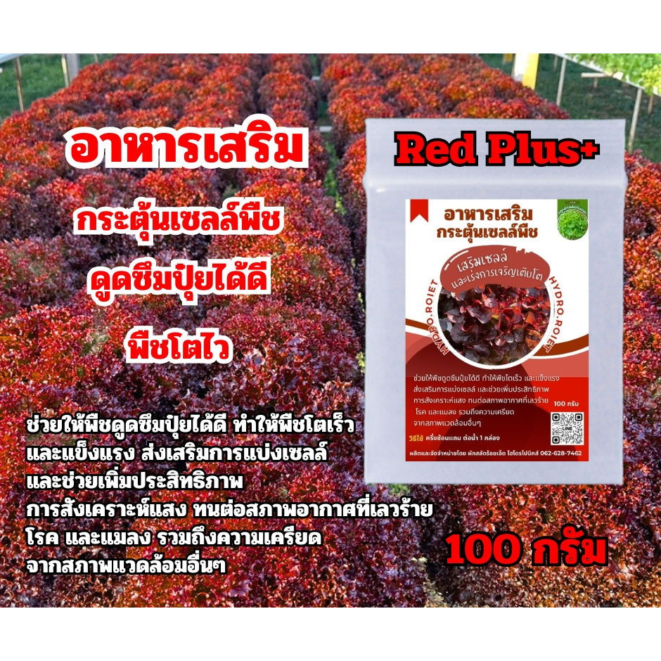 (ขายดี) Red Plus+ ที่สุดของ อาหารเสริมทางใบ กระตุ้นเซลล์ ช่วยดูดซึมปุ๋ย