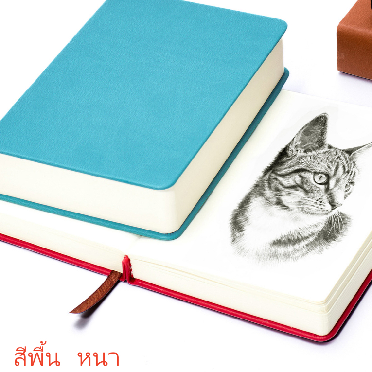 [DOTDING] สมุด โน้ต หนา พิเศษ เสตเสถียร A5 A4 A6 3 ขนาด 330 ภาพ/ 660 หน้า เคสกันน้ำ กระดาษคุณภาพสูง