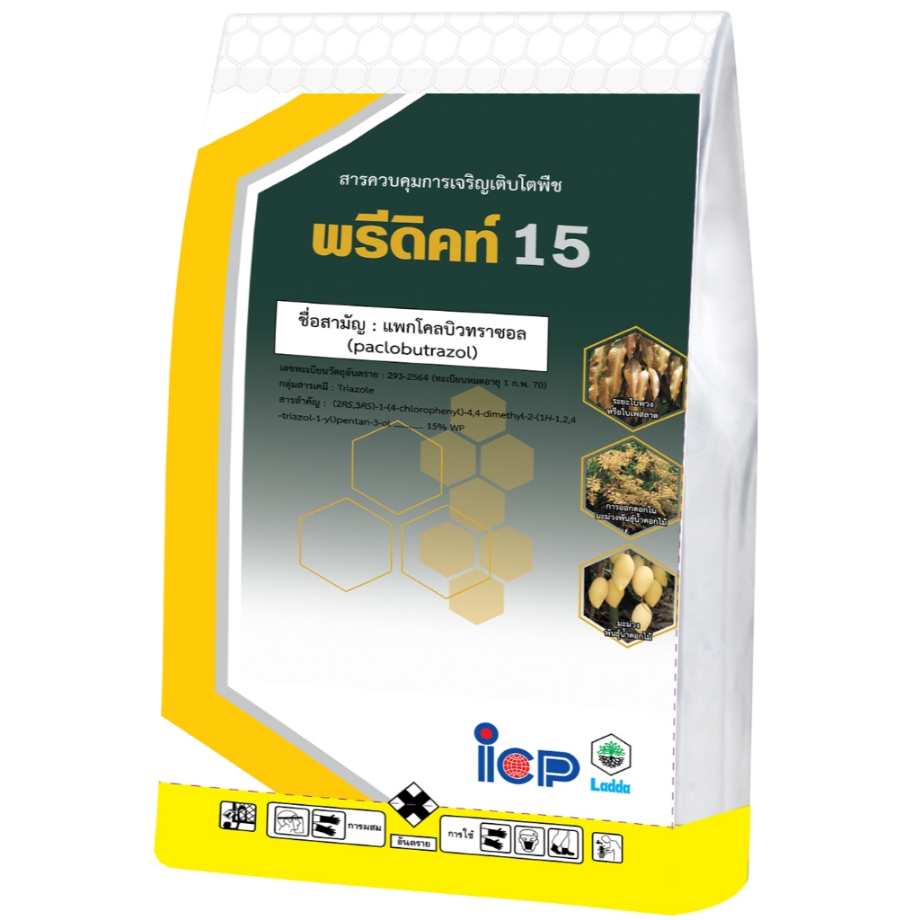 พรีดิคท์ 15% แพกโคลบิวทราซอล15% 1กิโล ควบคุมการออกดอกนอกฤดูกาลของมะม่วง paclobutrazol 15% WP