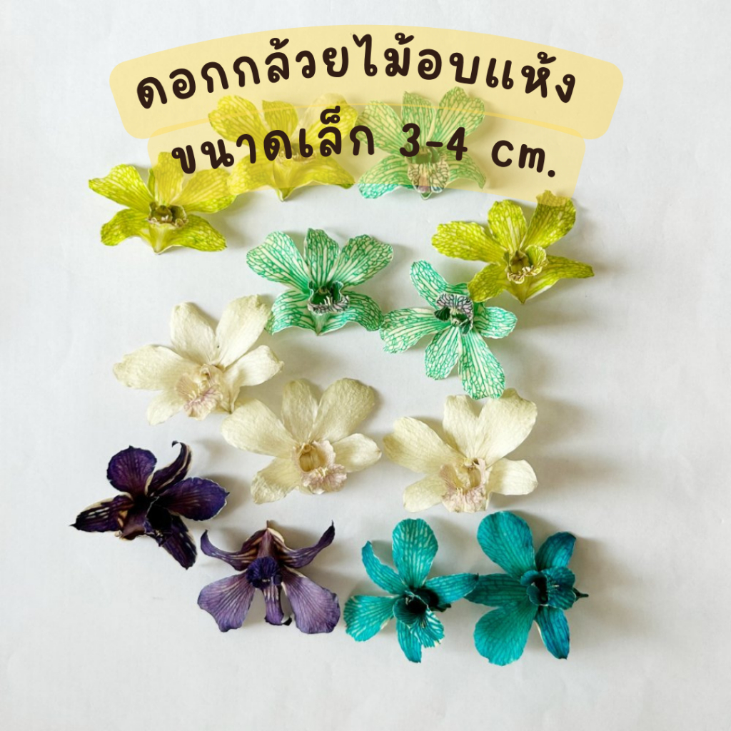 Prosco |   ดอกกล้วยไม้อบแห้ง ขนาดเล็ก สำหรับงานตกแต่ง craft งานประดิษฐ์ handmade เรซิ่น จิวเวอรี่