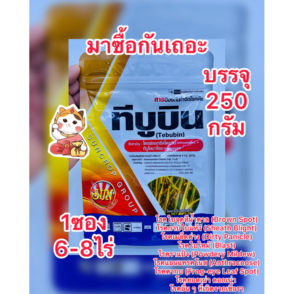 ไตรฟลอกซีสโตรบิน+ทีบูโคนาโซล ชนิดเกล็ด 25%+50%WG สารเดียวกันนาติโว สารกำจัดโรคพืช บ.ซันคร็อพ บรรจุ250กรัม/ซอง