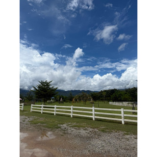 Picture of hello hello sunshine morning nature 1516