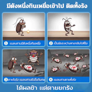 HLHB💥แมลงสาบตายทั้งรัง💥 ซื้อ3 แถม2 ยาฆ่าแมลงสาบ 40pcs ฆ่าแมลงสาบ กำจัดแมลงสาบ 8ชิ้น/กล่อง ยากำจัดแมลงสาบ เจลกำจัดแมลงสาบ