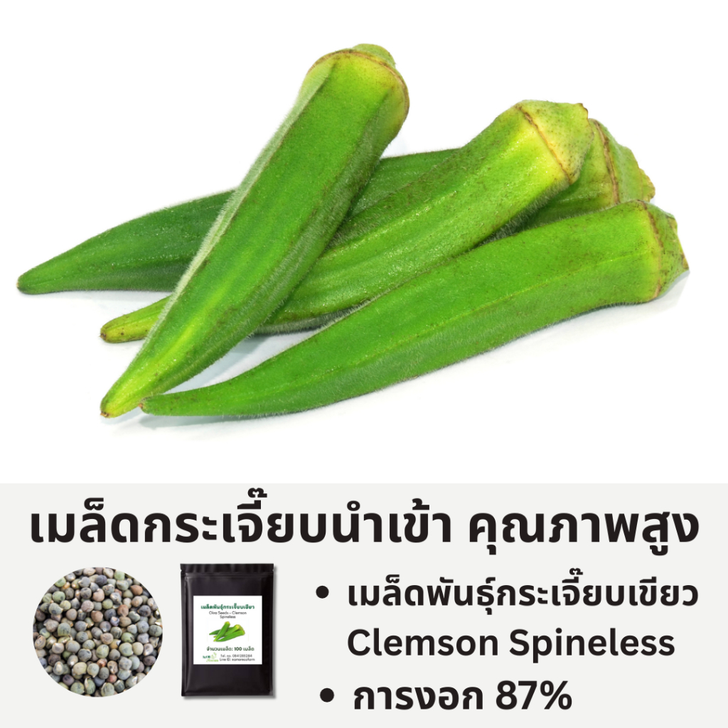 กระเจี๊ยบเขียว Clemson Spineless Seeds | โตเร็ว ให้ผลต่อเนื่อง เหมาะมือใหม่