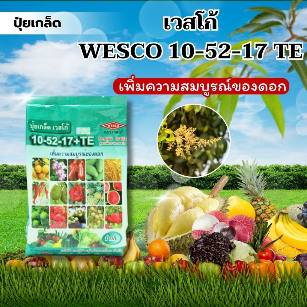 ปุ๋ยเกล็ด เวสโก้ WESCO 10-52-17 TE (1000G) เพิ่ิ่มความสมบูรณ์ของดอก