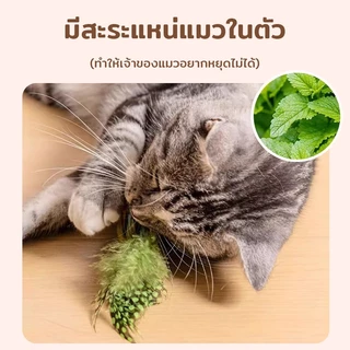 ของเล่นแมว ของเล่นแมวเสียงนกจําลองนก ตุ๊กตาผ้าสำหรับสัตว์เลี้ยง พร้อม Catnip ดึงดูดแมว ของเล่นสัตว์เลี้ยง