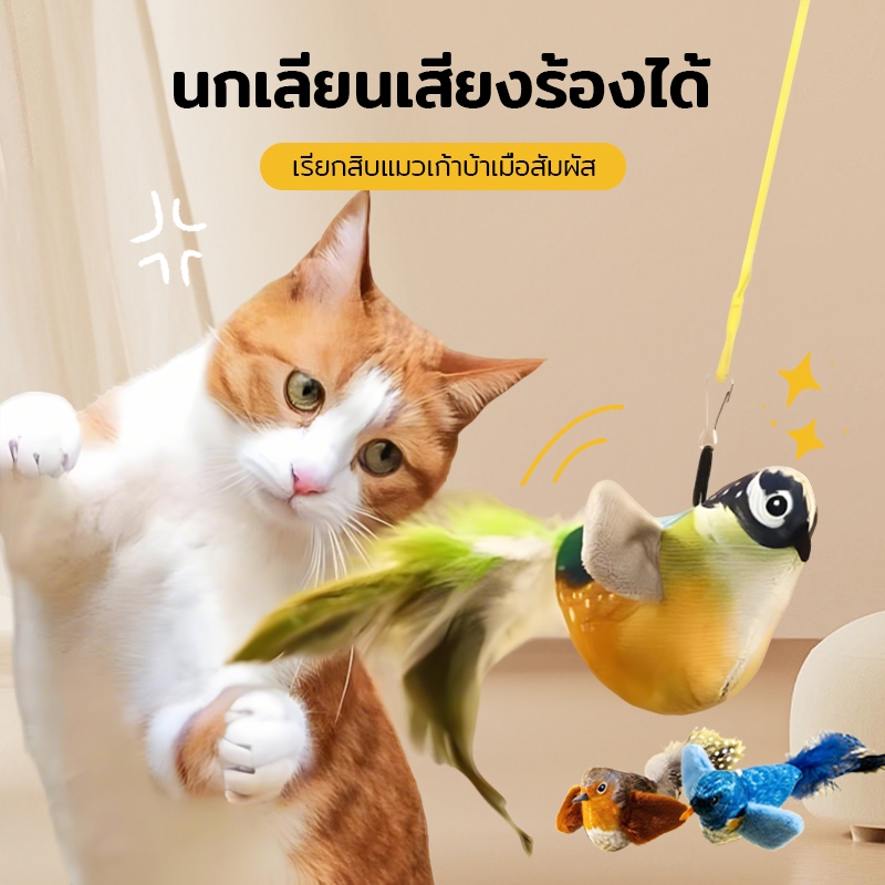 ของเล่นแมว ของเล่นตุ๊กตา เสียงนกจำลอง ของเล่นสัตว์เลี้ยง ไม้กายสิทธิ์ล้อแมว ของเล่นลูกแมว ของเล่นแมวเพื่อความบันเทิงในตั
