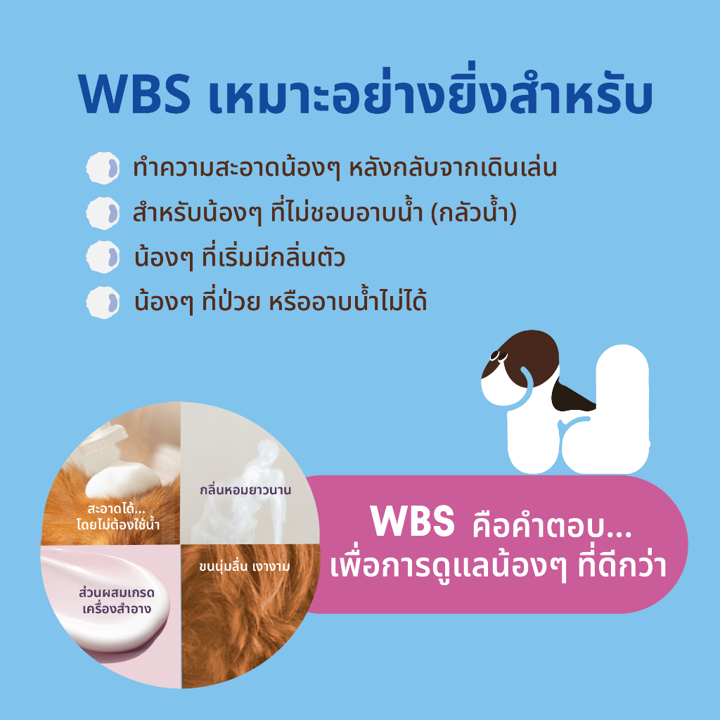 รูปภาพ 3