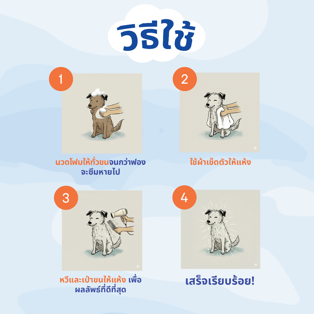 รูปภาพ 8