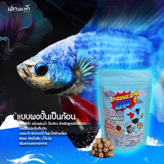 อาหารปลาบอลลูน PowerUp อาหารปลาสวยงาม สูตรเร่งสี และเร่งโต สำหรับปลาเล็ก ถึงโต ชนิดเม็ดกึ่งลอยจมและปั้นก้อน