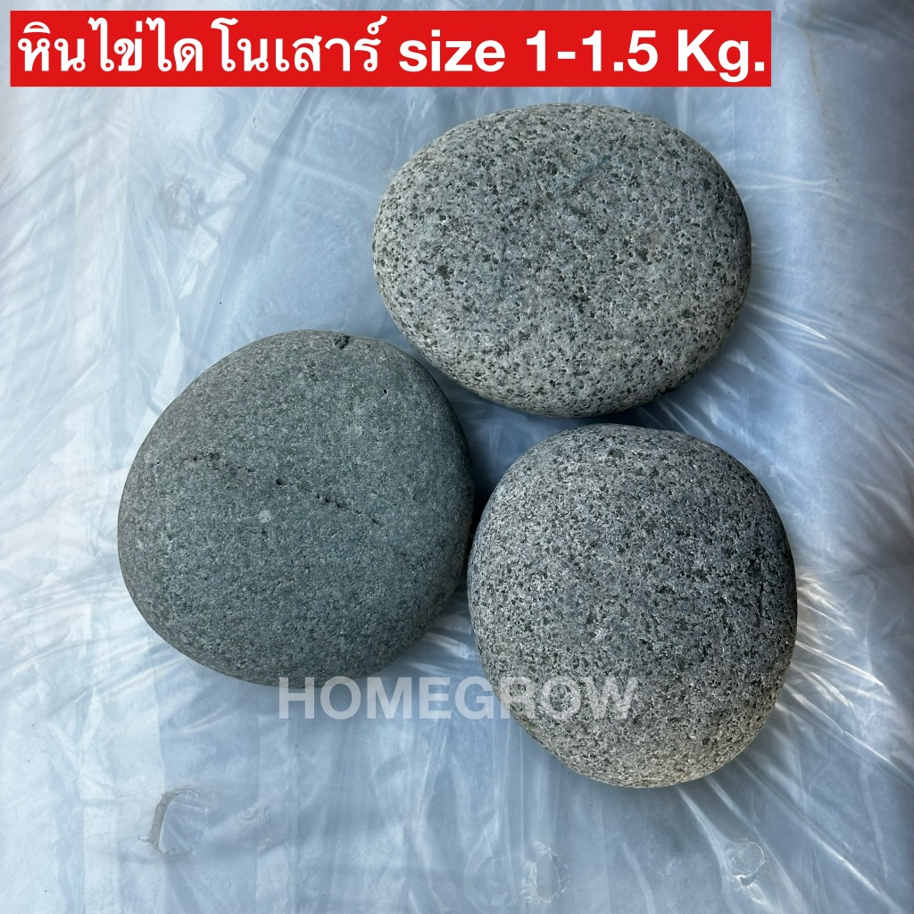 หินไข่สปา ไข่ไดโนเสาร์ ราคาต่อชิ้น พร้อมส่ง ในไทย