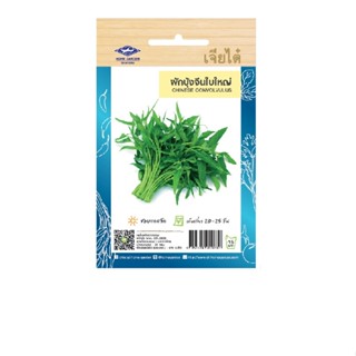 5 ฟรี 1 คละได้ทั้งร้าน เมล็ดพันธุ์ ผักบุ้งจีน ตรา เจียไต๋