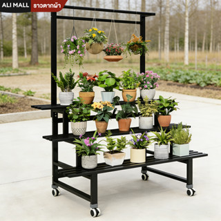 ชั้นวางกระถางต้นไม้ มีล้อ+ราวแขวน เหล็กเคาร์บอน 2/3ชั้น โครง…