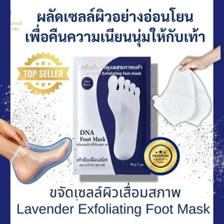 DNA NATURE FOOT MASK สูตรขจัดเซลล์ผิวเสื่อมสภาพ มาร์กเท้าคุณ…