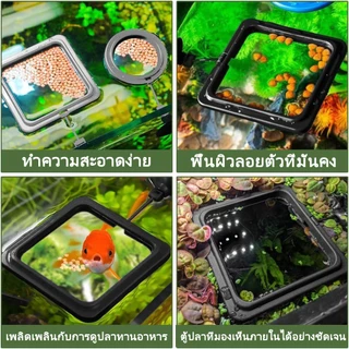 ที่กักอาหารปลา ห่วงให้อาหารปลา ที่กั้นอาหารปลา ใช้สำหรับควบคุมพื้นที่ในการให้อาหารปลา 2 ขนาด สไตล์ และสี