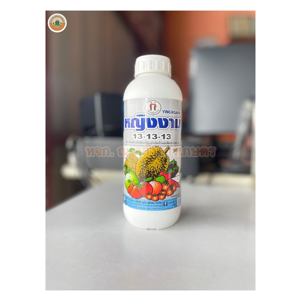 หญิงงาม 13-13-13 ปุ๋ยเคมีชนิดน้ำ ขยายใบ ดอก และผล 1ลิตร