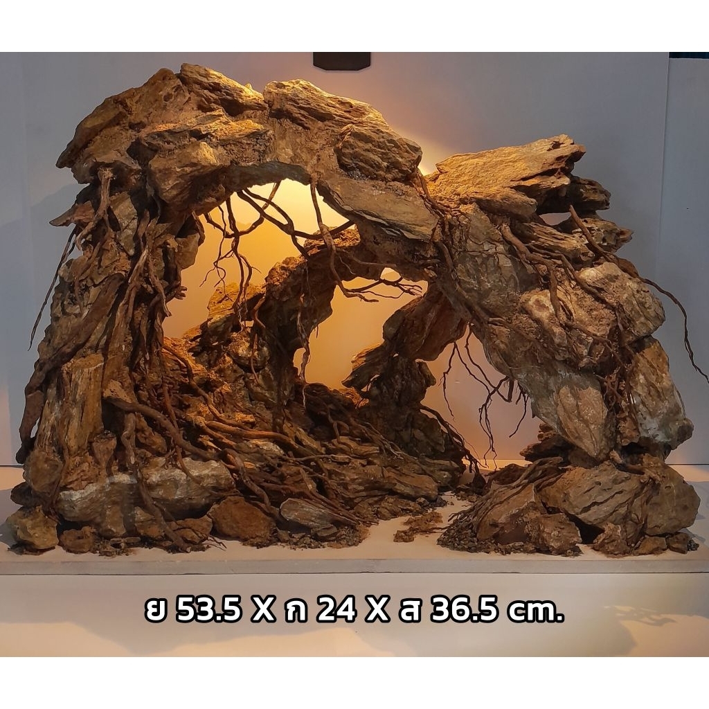 Layout ตู้ปลา, เลย์เอาท์ตู้ไม้น้ำ,เลย์เอาท์ตู้ปลาสำเร็จรูป 24 นิ้ว